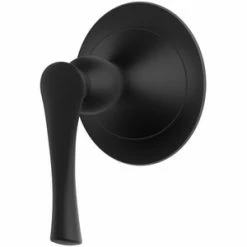 Top 10 🔔 Pfister Rhen™ Trim in Matte Black ✨