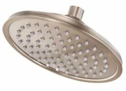 Buy 🥰 Pfister Saxton Single Function Raincan Showerhead in Brushed Nickel 😍