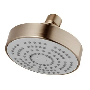 Promo 🎉 Pfister Arkitek™ Single Function Showerhead in Brushed Nickel 🤩