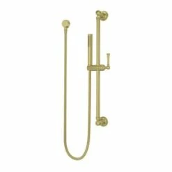 Deals 🌟 Pfister Tisbury™ Single Function Hand Shower in Brushed Gold 😉