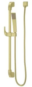 Deals ⭐ Pfister Park Avenue™ Single Function Hand Shower in Brushed Gold ⌛
