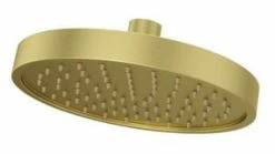 Buy 🌟 Pfister Contempra™ Single Function Rain Showerhead in Brushed Gold 😀