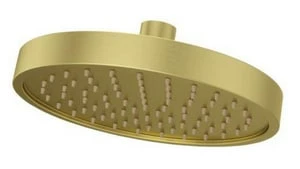 Buy 🌟 Pfister Contempra™ Single Function Rain Showerhead in Brushed Gold 😀
